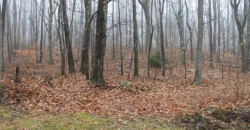 3+ Acres in PA